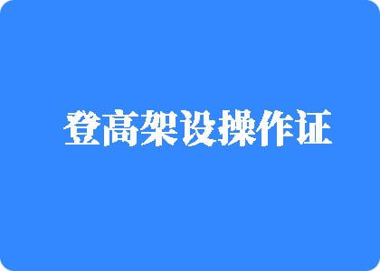 操我逼网登高架设操作证